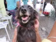 Boneca