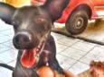 Max