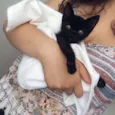 Petunia