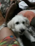 Bob