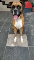 Mel