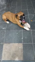 Mel