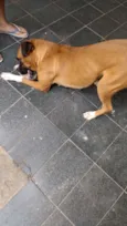 Mel