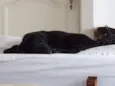 Nina