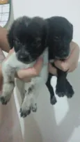 Não possui 