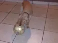 Francisco