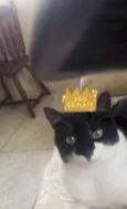 Bruce Wayne