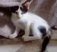 Lili