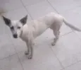 Siri