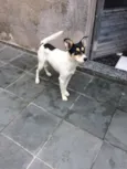 Pirulito
