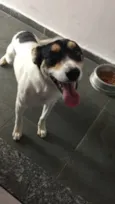 Pirulito