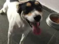 Pirulito