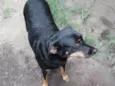 Lili