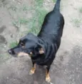 Lili
