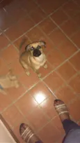 Truco