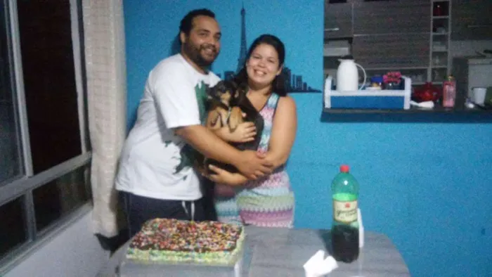 Cachorro ra a Vira lata idade 7 a 11 meses nome Costelinha