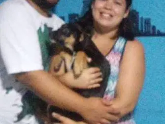 Cachorro ra a Vira lata idade 7 a 11 meses nome Costelinha