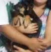 Cachorro raça Vira lata idade 7 a 11 meses nome Costelinha