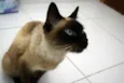 Sally