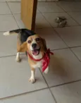 Lola