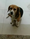 Lola