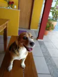Lola