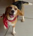 Lola