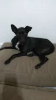 Magali