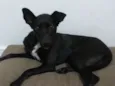 Magali