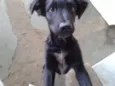 Bolinha