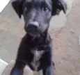 Bolinha
