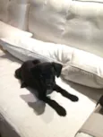 Nina