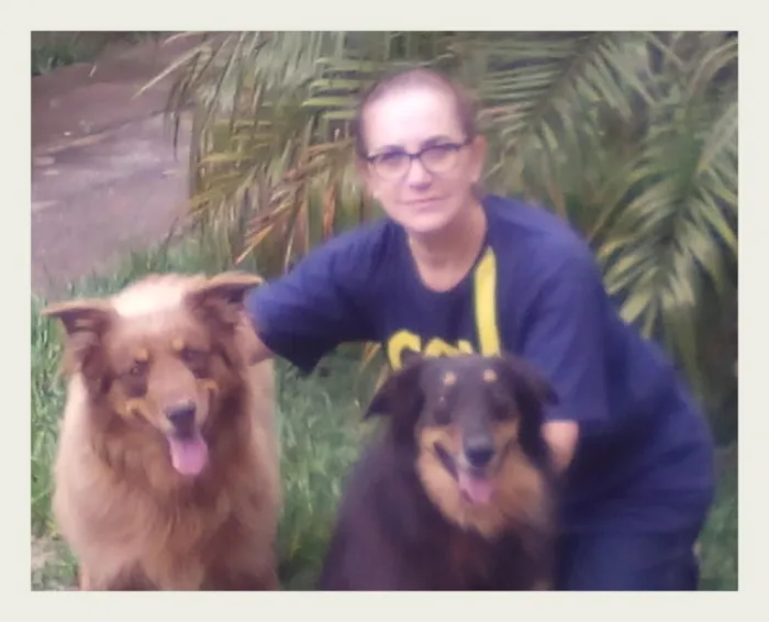 Cachorro ra a cão pastor de ovelhas idade 6 ou mais anos nome Sultao