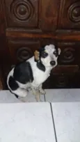 Snoop