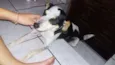 Snoop