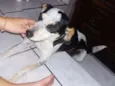 Snoop