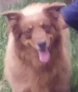 Sultao