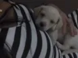 Lucky