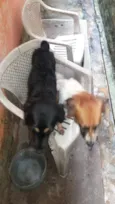 Brena e Belinha
