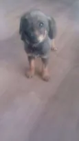 Não há
