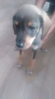 Não há