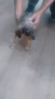 Não há