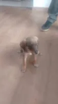 Não há