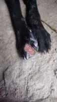 Bob