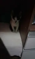 Nina