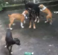 Não tem 
