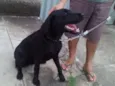 Fiona