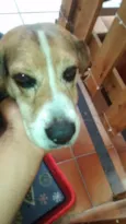 Não sei