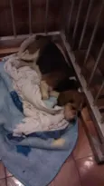 Não sei
