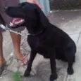 Fiona
